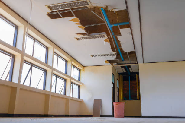 Best Carpet water damage restoration  in Alliae, NC