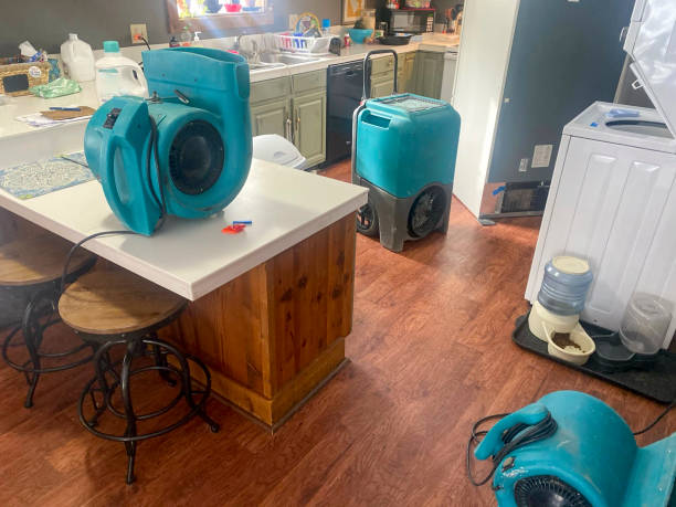 Best Commercial water damage restoration  in Alliae, NC