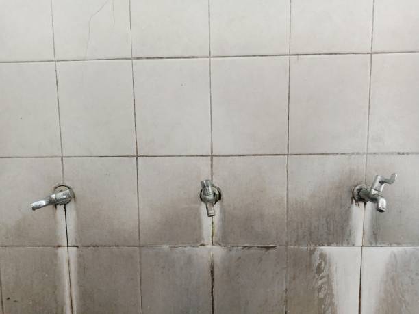Best Emergency water damage restoration  in Alliae, NC